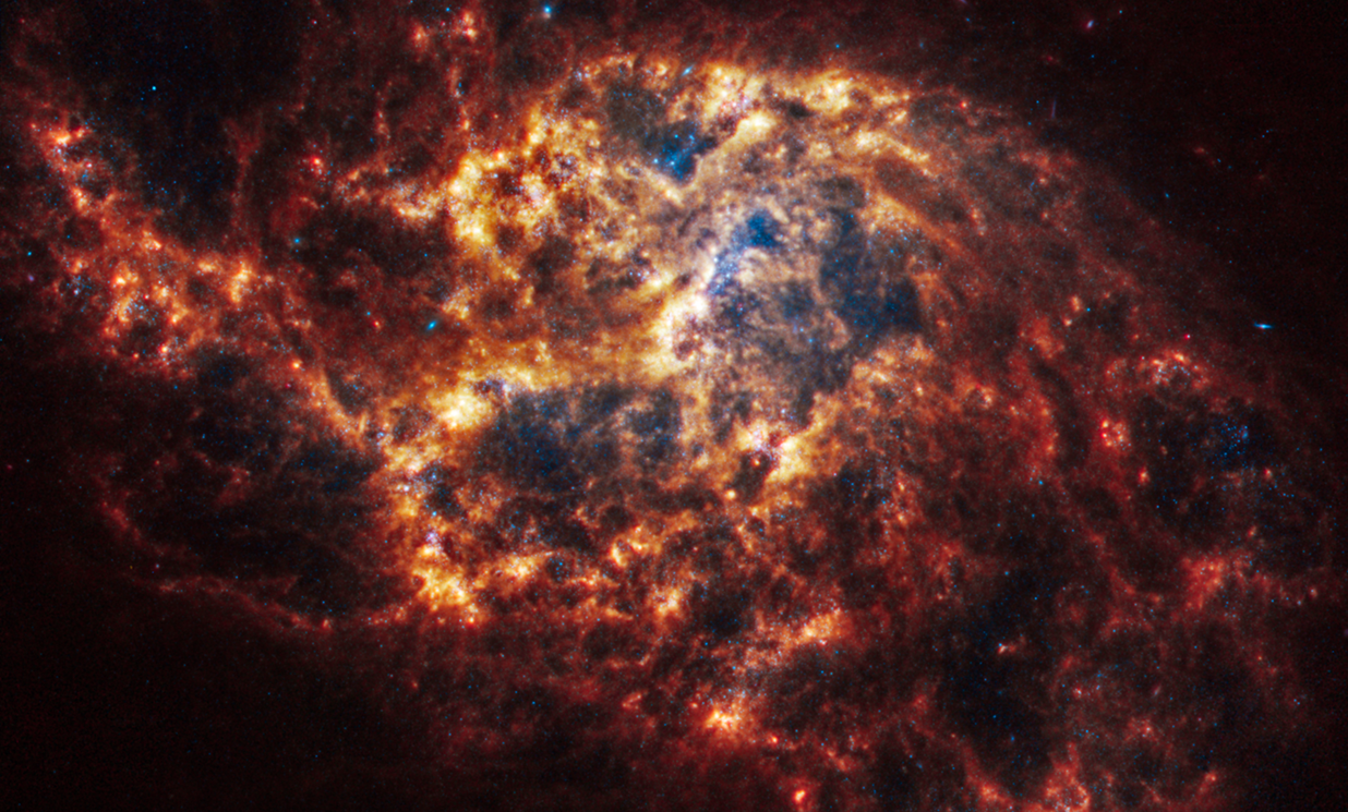 The Galaxy That Never Sleeps: How NGC 1385 Keeps Its Starburst Alive